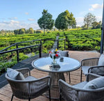 Load image into Gallery viewer, Muse Dining Chair
